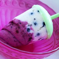 Nanuk s černým rybízem