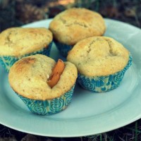 Tvarohové muffiny s meruňkami