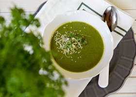 Zelená krémová polévka
