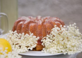 Bábovka s černým bezem