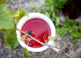 Sirup z černého rybízu a meduňky