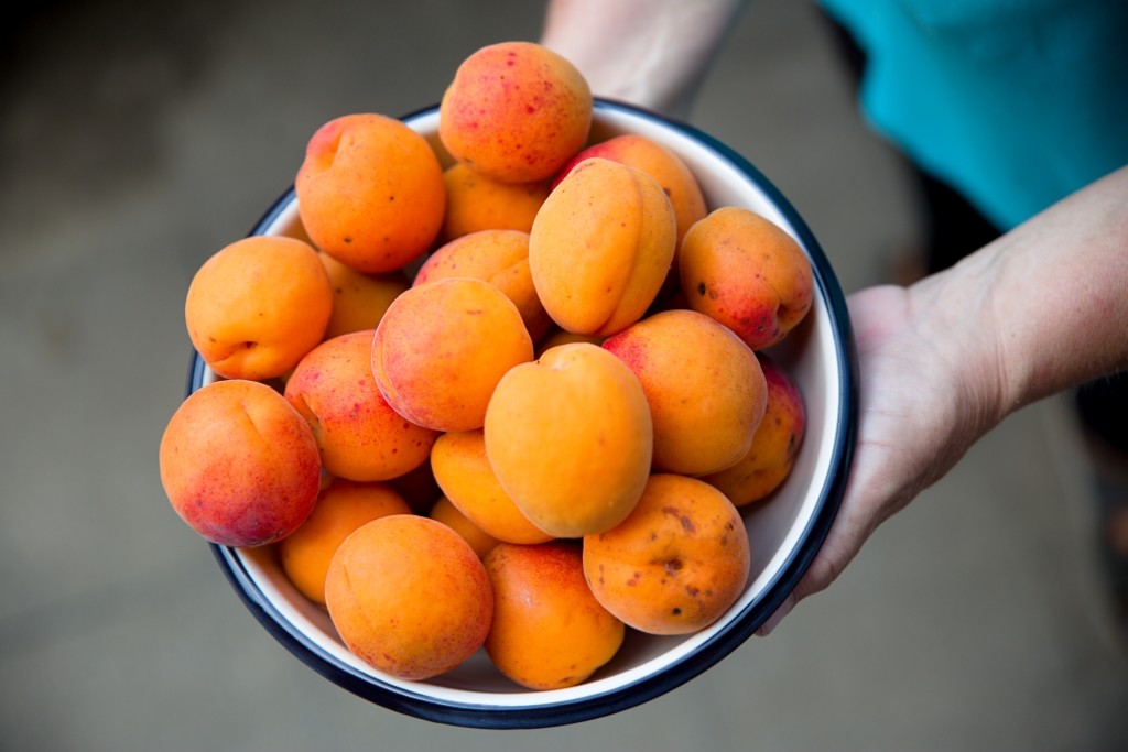 smaltované nádobí