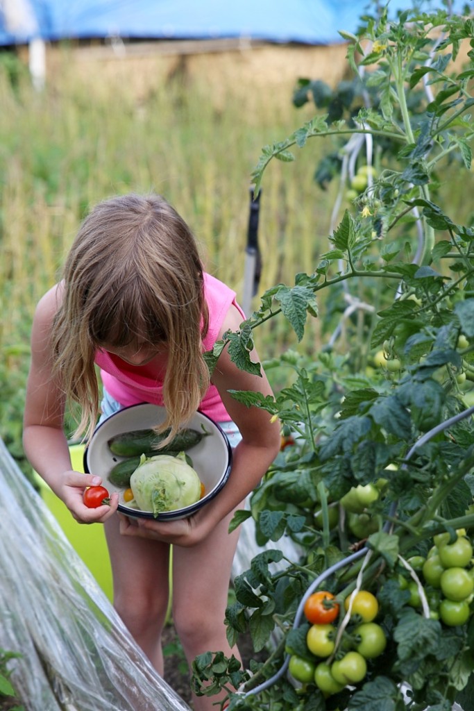 smaltované nádobí