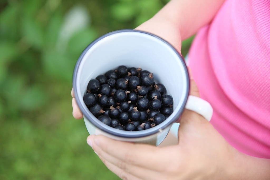 smaltovane-nadobi-kitos