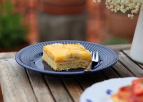 Retro piškotový koláč s ovocem a pudinkem